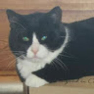 Meet your Posher, Jenny